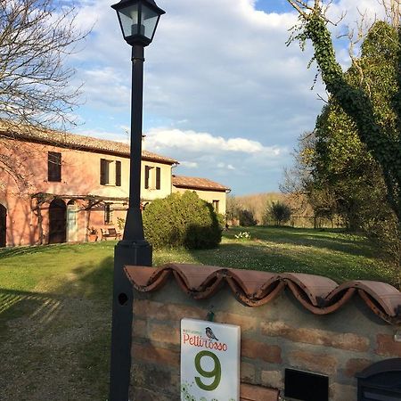 Agriturismo Il Pettirosso Guest House Forli Bagian luar foto