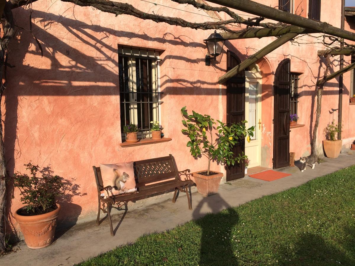 Agriturismo Il Pettirosso Guest House Forli Bagian luar foto